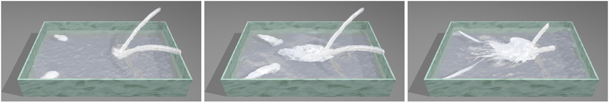 Novel Fluid Detail Enhancement